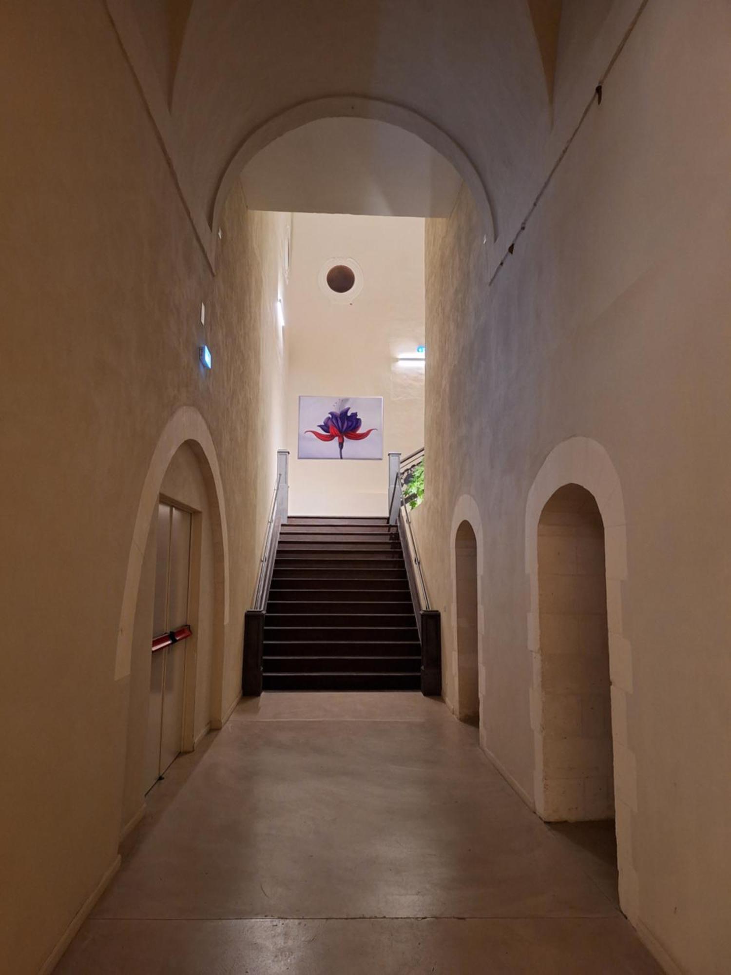 Chiostro Dei Domenicani - Dimora Storica Lecce Ngoại thất bức ảnh